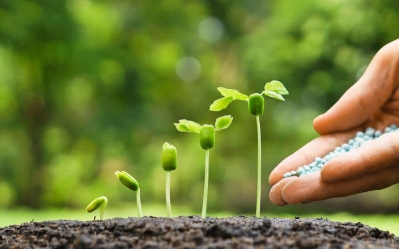 El Lead Nurturing en el Inbound Marketing: ventajas y herramientas